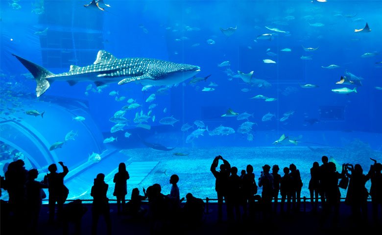 ofertas viajes japon ofertas viajes japon